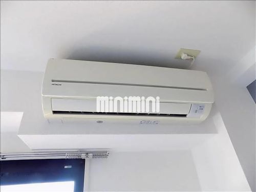 ロゼリアのその他画像