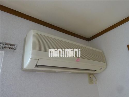 マジョリティーのその他画像