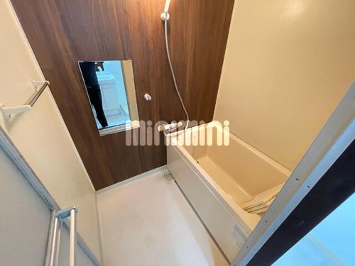 ドルフ花咲101の風呂