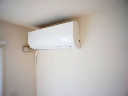 Qualistaのその他画像