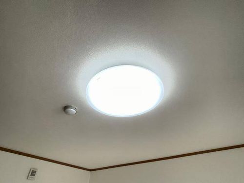 ROOF TREEのその他画像