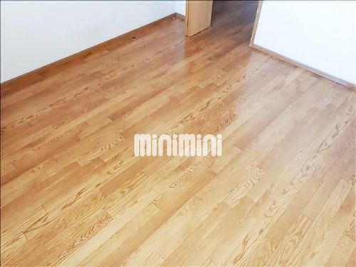 フリュイティアⅠのその他画像