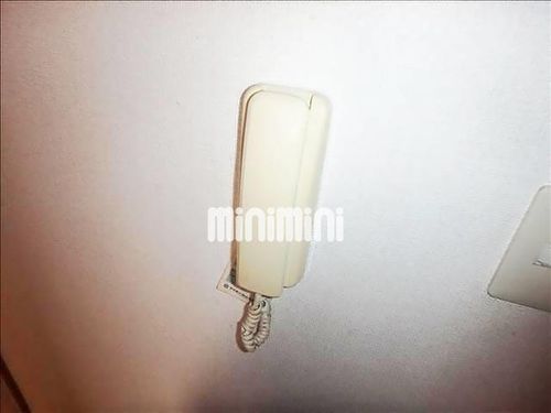 フリュイティアⅠのその他画像