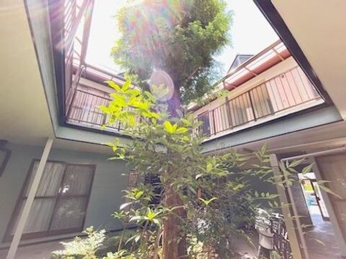 杉花コーポのその他画像