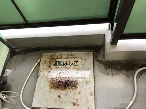 コスモレジデンス玉出の内装