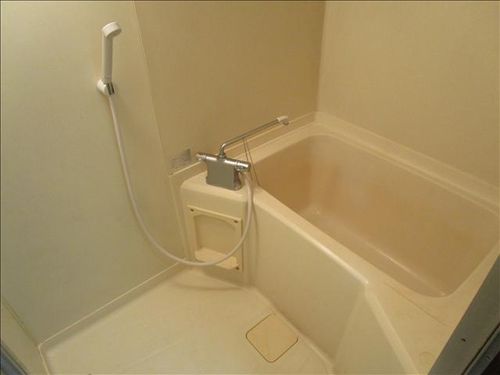 アメニティタツミの風呂