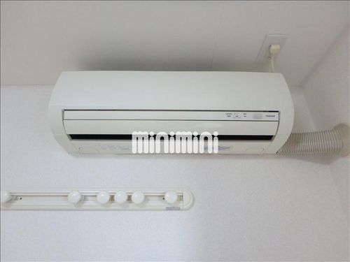 ミニマムのその他画像