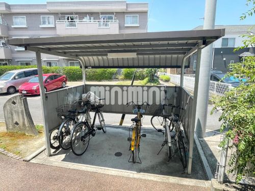 ディレクシオン・アノのその他画像