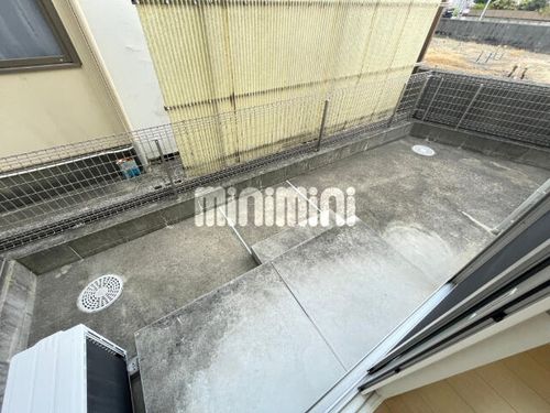 マーガレットのその他画像