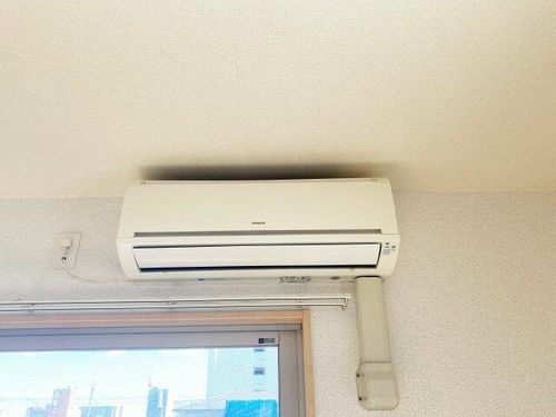 セレンディピティ プレシャスのその他画像