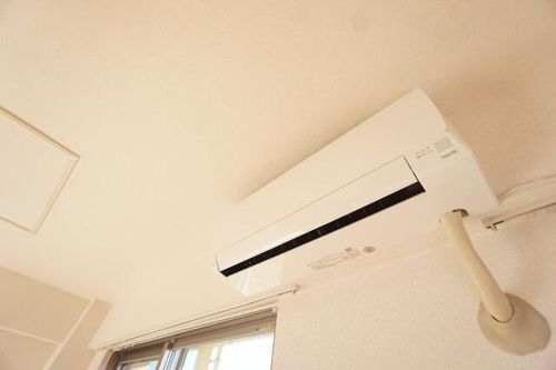 ビーハイヴのその他画像