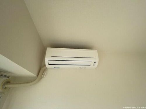 ステップ21のその他画像