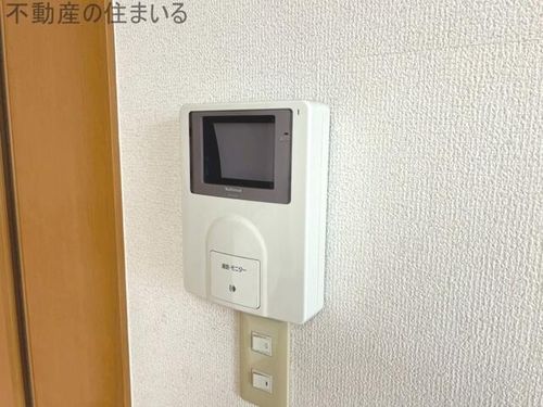 アムールアドニスのその他画像