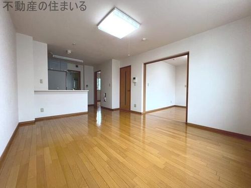 アムールアドニスのその他画像