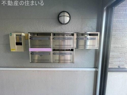 アムールアドニスのその他画像