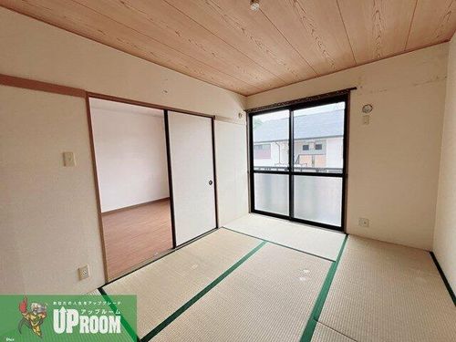 エヴァーグリーンのその他画像