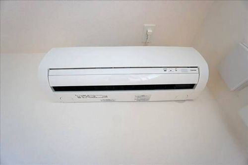 花水木のその他画像