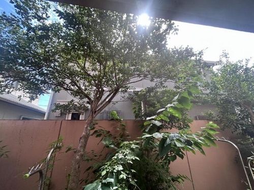 コンセール鳴丘102のその他画像