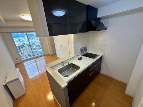 北海道札幌市中央区南九条西1丁目(マンション)の賃貸物件のキッチン