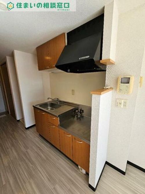愛知県岡崎市真伝町字荒戸(マンション)の賃貸物件のキッチン