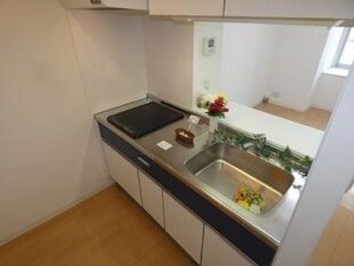 北海道札幌市中央区北三条東2丁目(マンション)の賃貸物件のキッチン