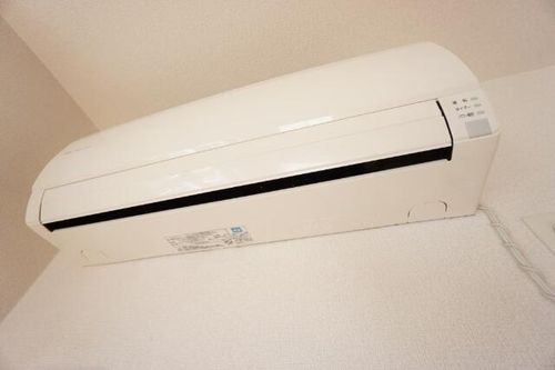 フィオーレSのその他画像