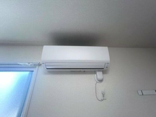 アンベリールのその他画像