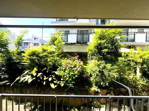 グレースシャトーのその他画像