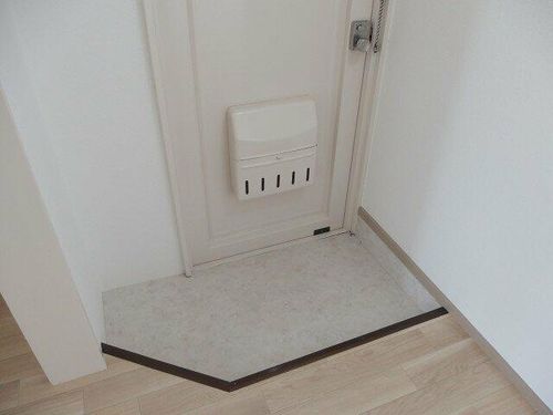 天野ハイツ302の玄関