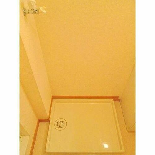 大樹の内装