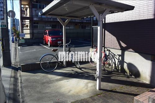 アンプルール ブワ ステラのその他画像