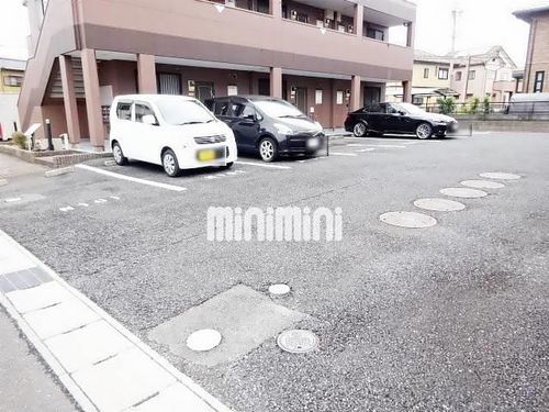 G Forest Nのその他画像