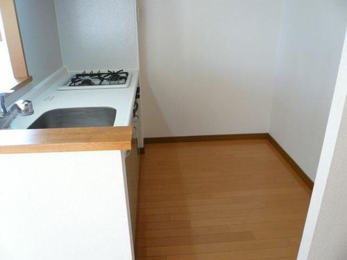 ドルフNTのその他画像