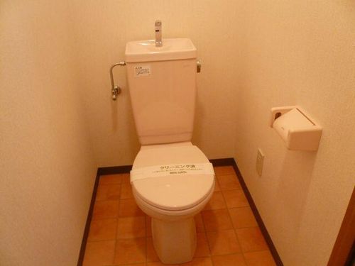 ドルフNTの内装