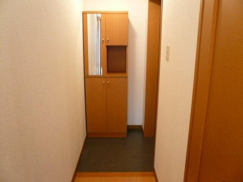 ドルフNTの玄関