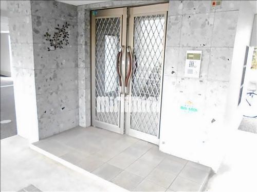 グローバル12のその他画像