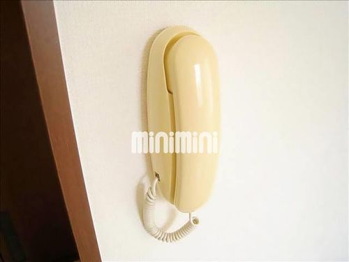 ミーナ長辻のその他画像