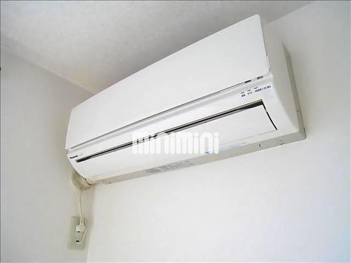 ミーナ長辻のその他画像