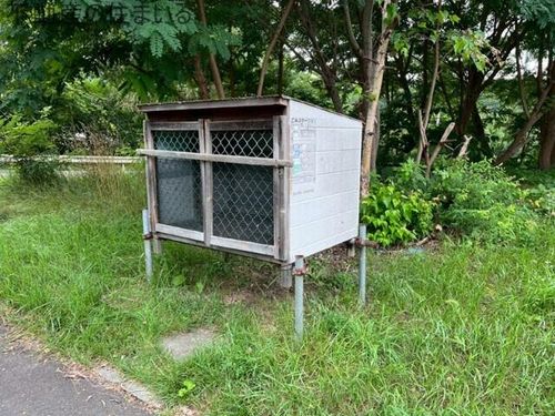 エピオスときわのその他画像