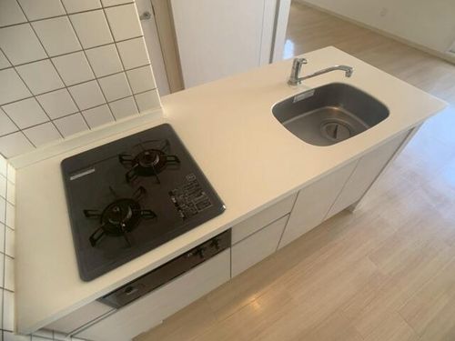 北海道札幌市中央区北四条西22丁目(マンション)の賃貸物件のキッチン