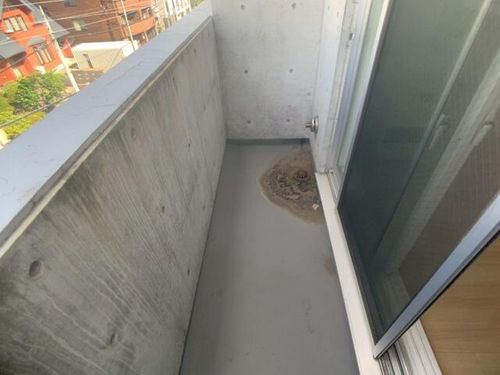 北海道札幌市中央区北四条西22丁目(マンション)の賃貸物件の内装