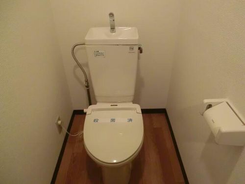 グランディーナ弐番館の内装