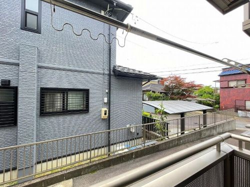 レトア タンポポのその他画像