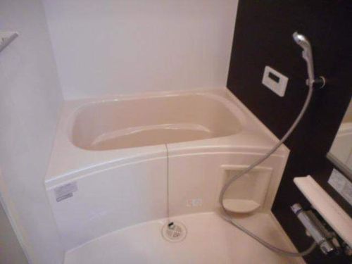 グランシュール SOUTH Ⅱの風呂