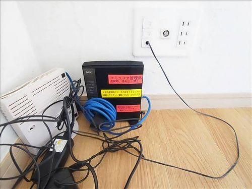 フェリーチャアイオイのその他画像