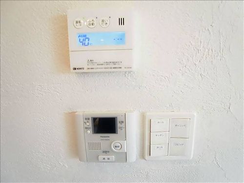 フェリーチャアイオイのその他画像