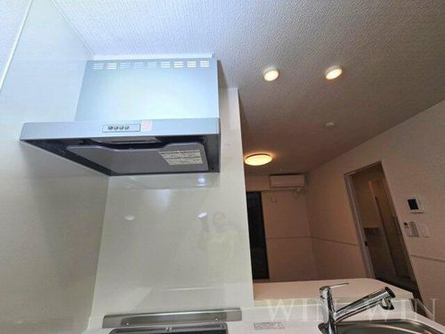 アイビー コート A101のキッチン