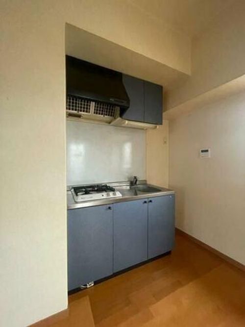 ラフォーレ西公園のキッチン