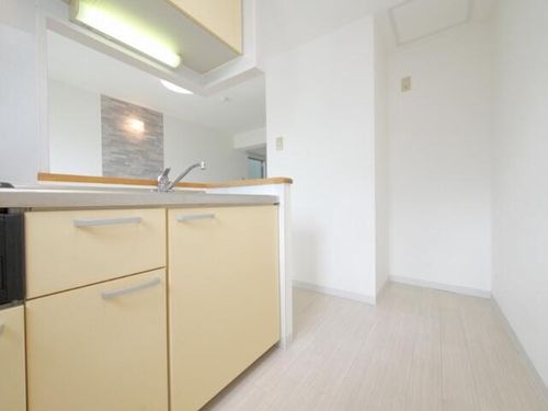 北海道札幌市西区発寒四条5丁目(マンション)の賃貸物件のキッチン