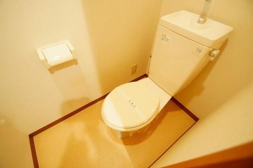 グリーンハイツ豊川Ⅱ107の内装